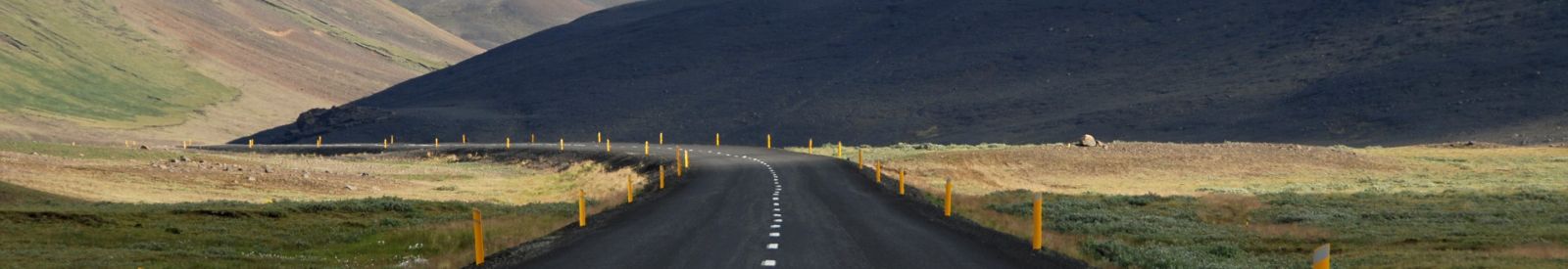 Ascorbic Acid Supplier